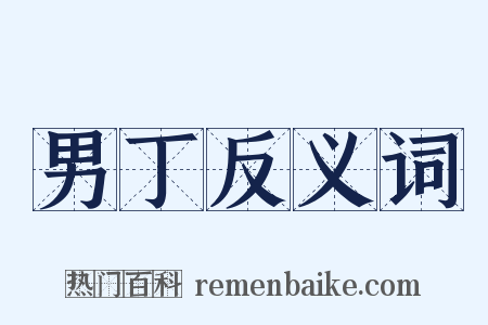 男丁反义词是什么意思的图片